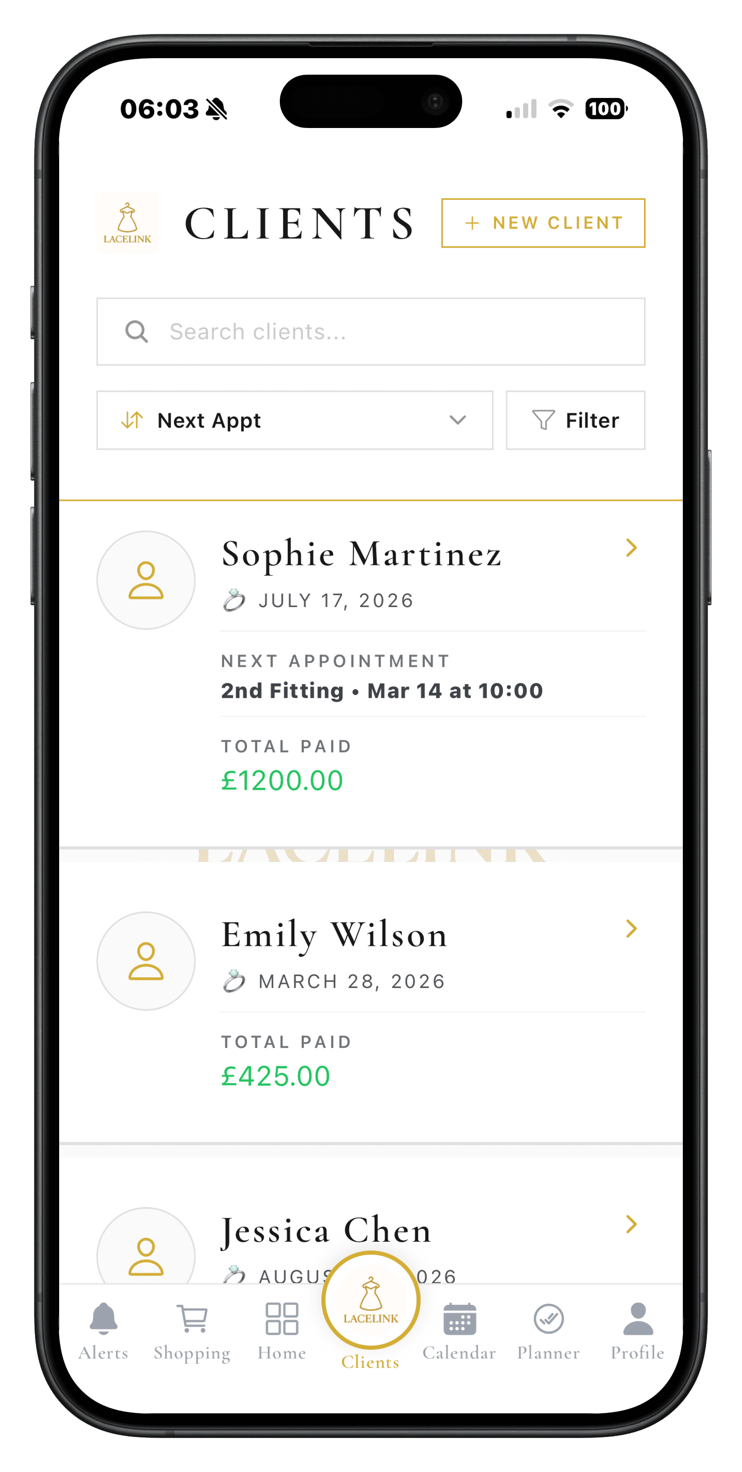 LaceLink clients screen showing bridal client list and appointments