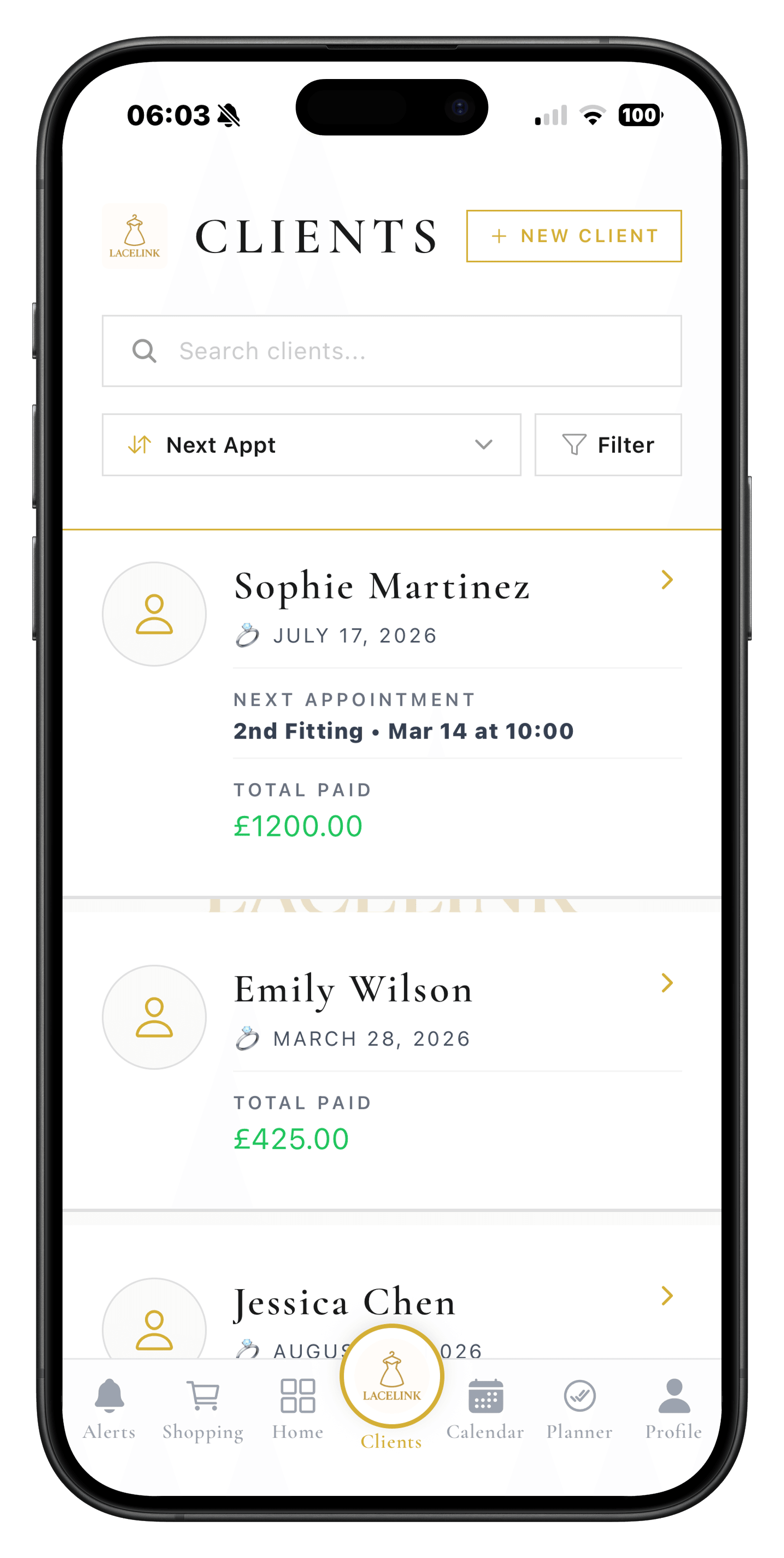 LaceLink clients screen showing bridal client list and appointments